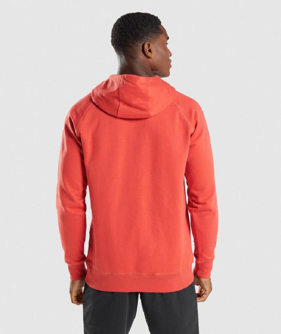 Sudadera Con Capucha Gymshark Sharkhead Infill Hombre Rojas | CO 3622XYU